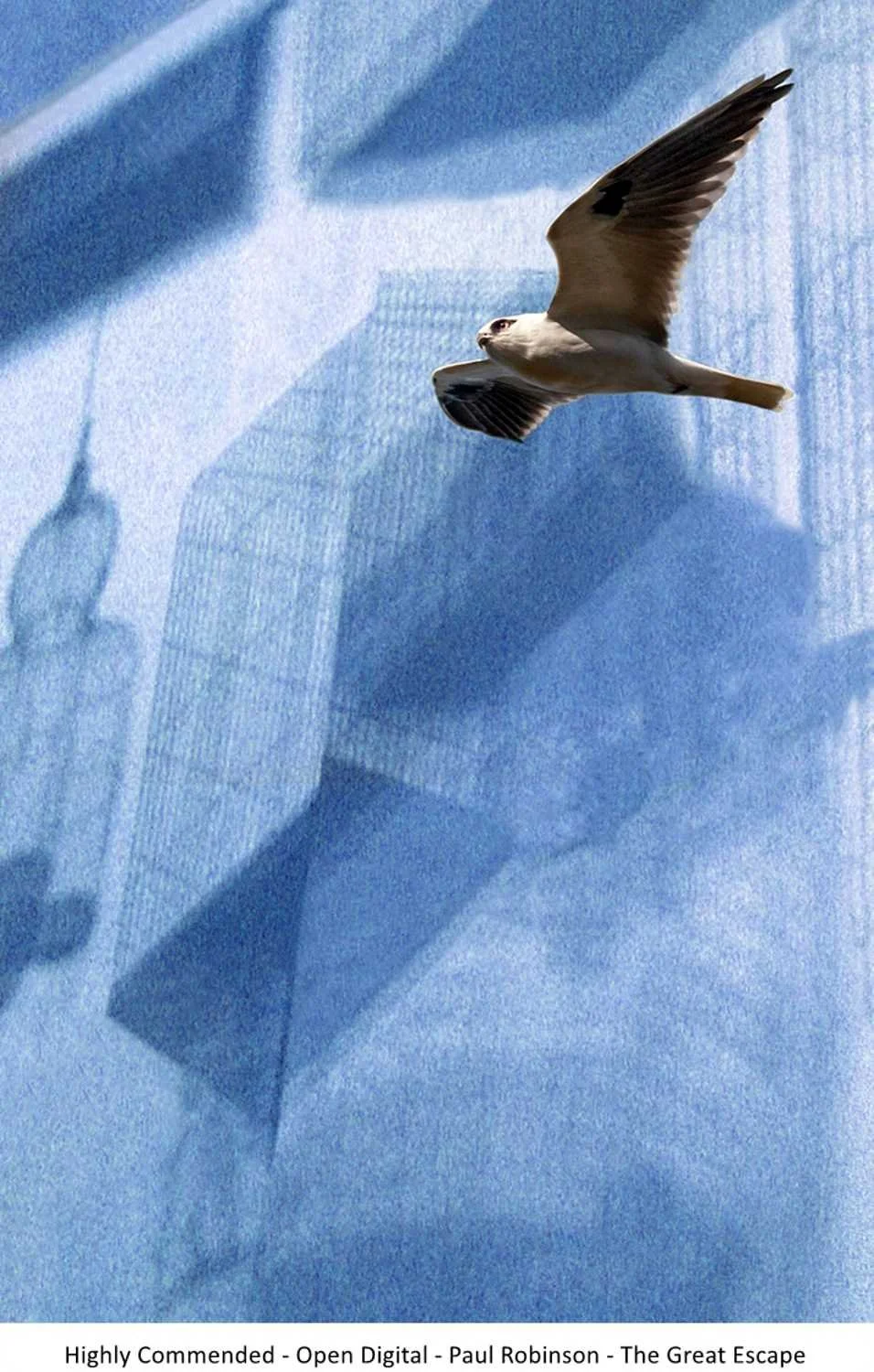 Highly Commended - Open Digital - Paul Robinson - The Great Escape.jpg