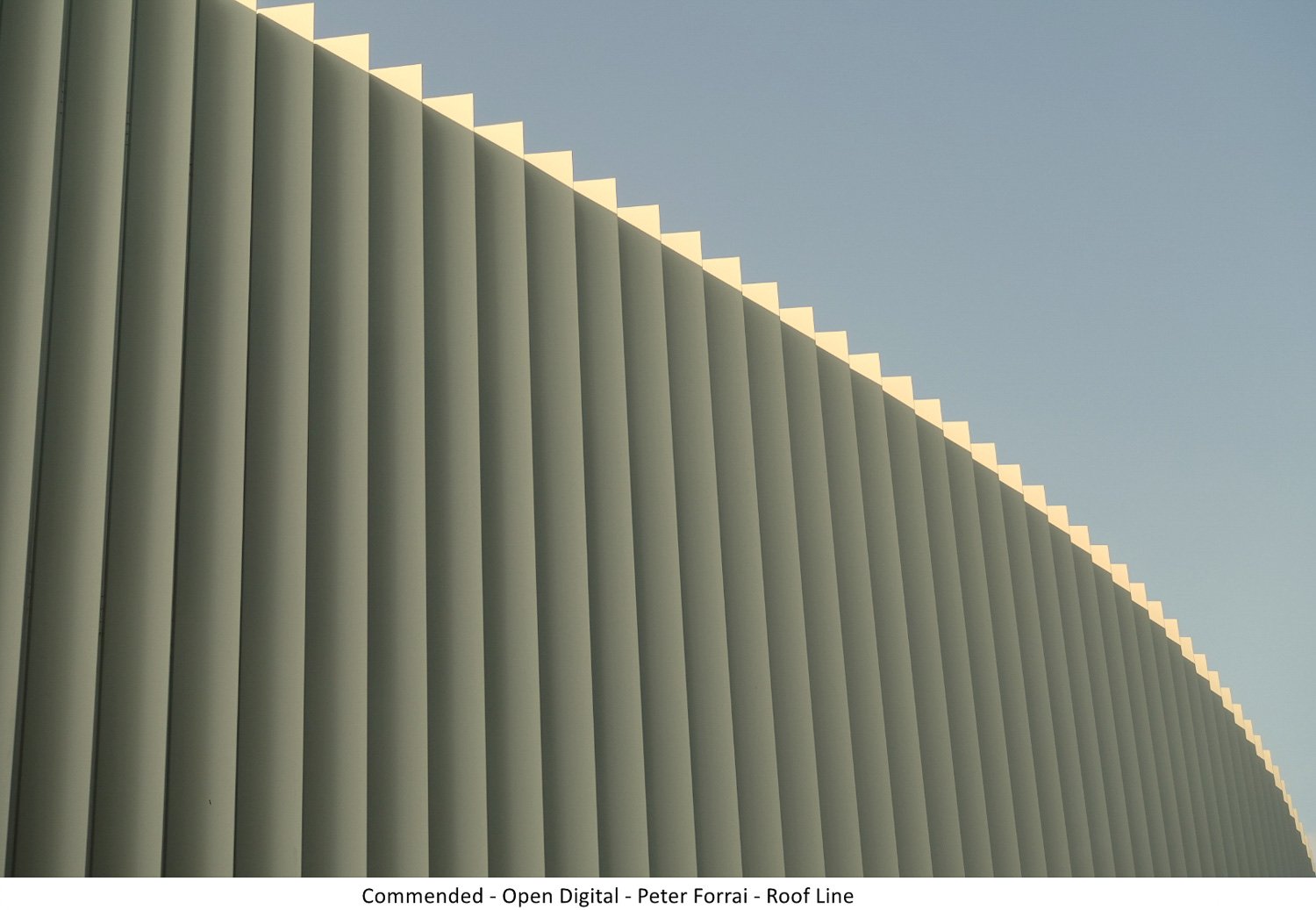 Commended - Open Digital - Peter Forrai - Roof Line.jpg