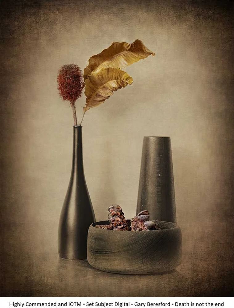 Highly Commended and IOTM - Set Subject Digital - Gary Beresford - Death is not the end.jpg
