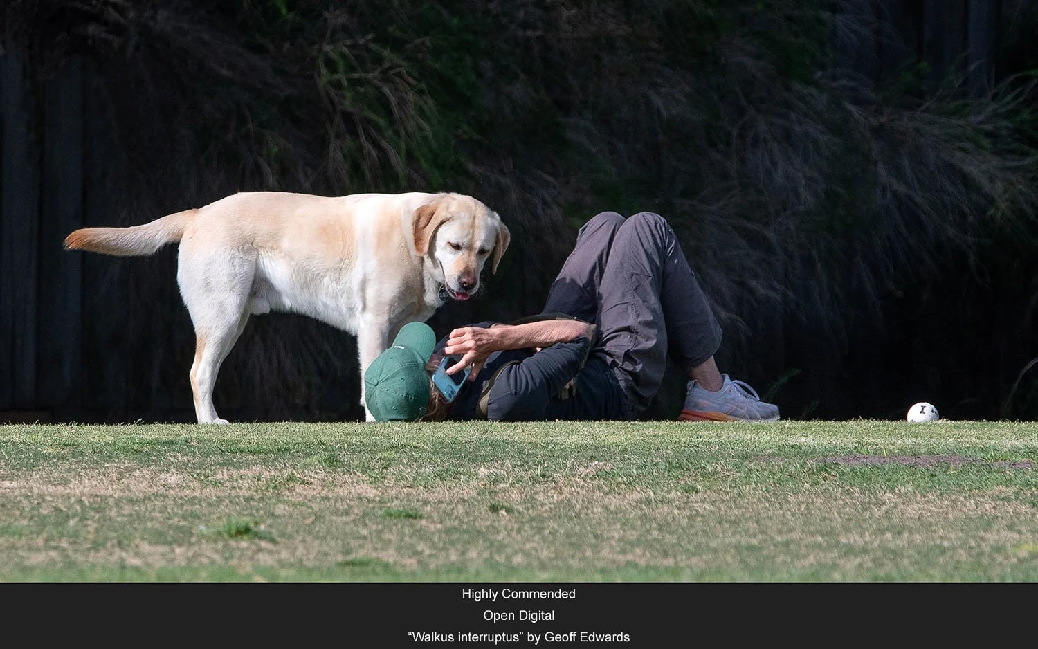 Highly Commended - Open Digital - “Walkus interruptus” by Geoff Edwards.jpg