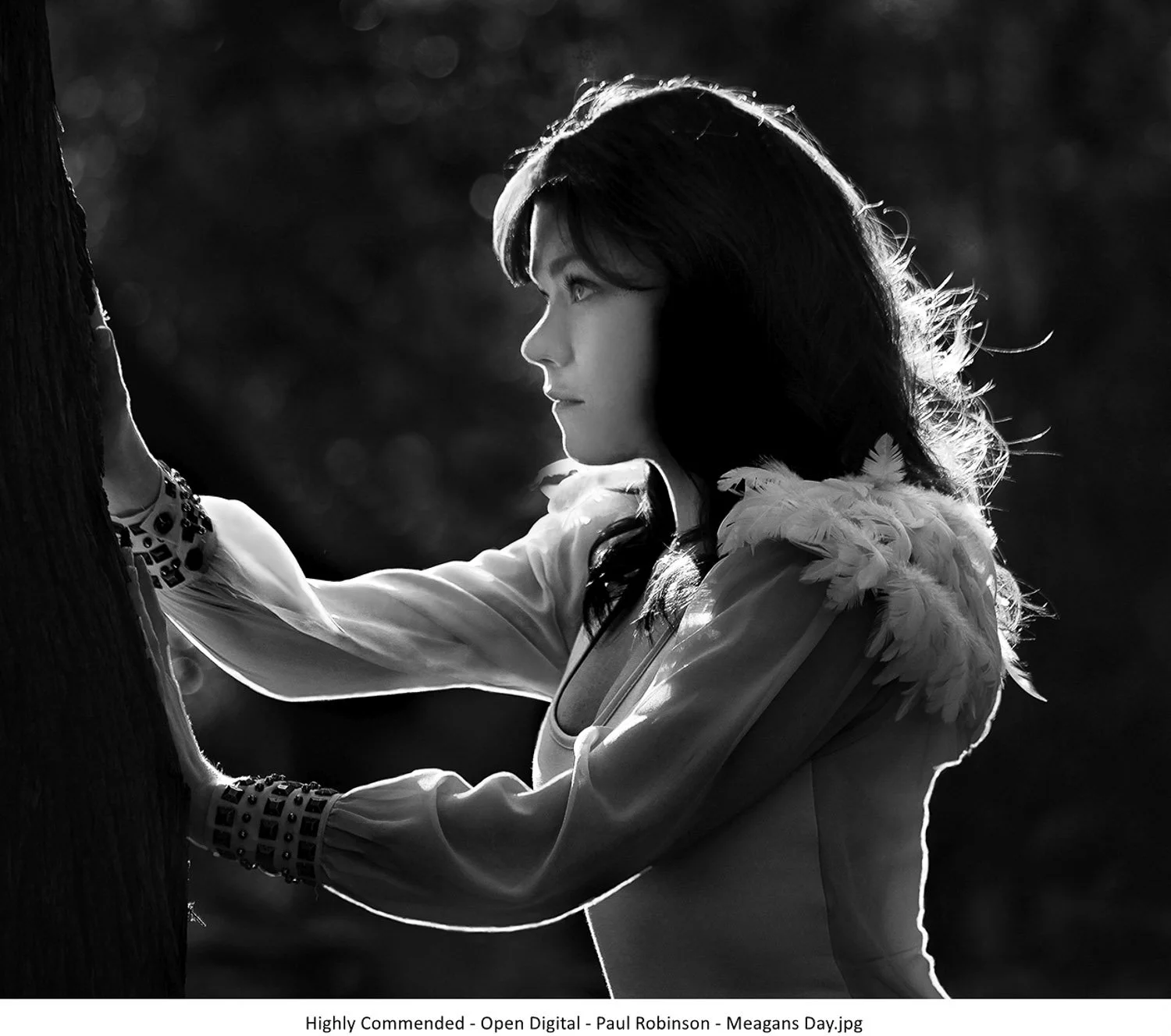 Highly Commended - Open Digital - Paul Robinson - Meagans Day.jpg.jpg