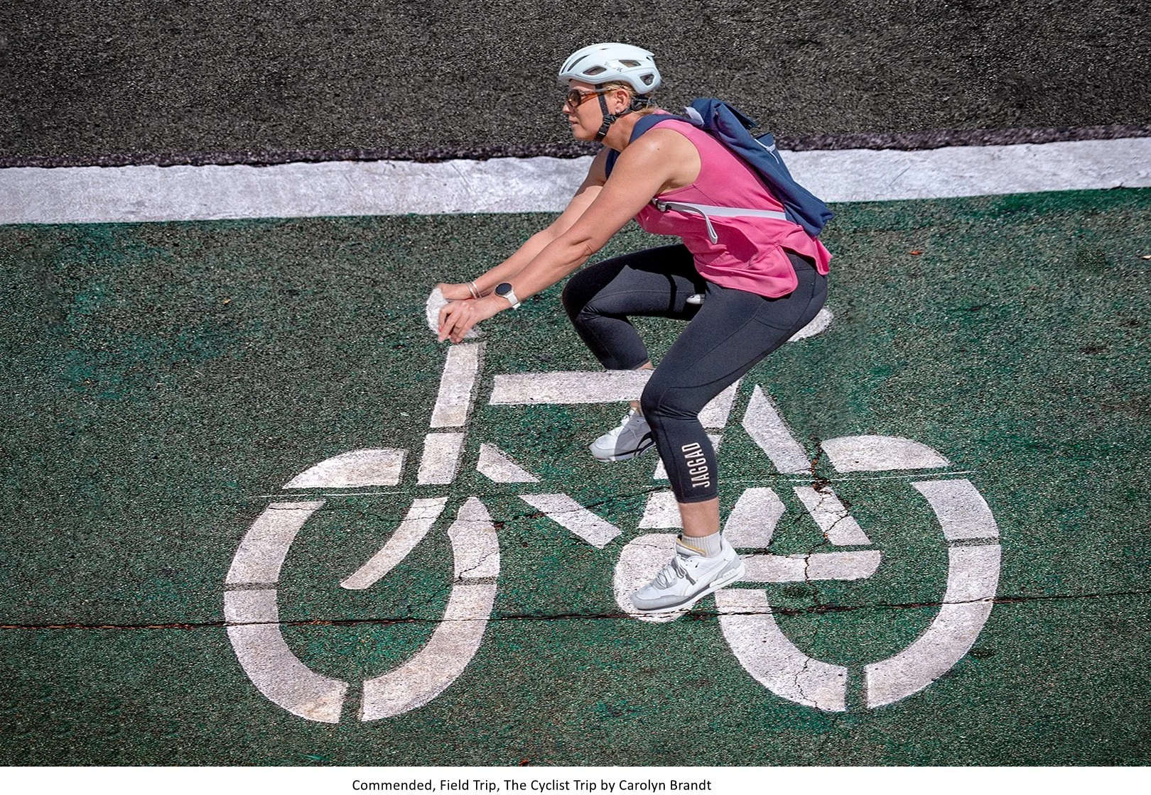 Commended, Field Trip, The Cyclist Trip by Carolyn Brandt.jpg