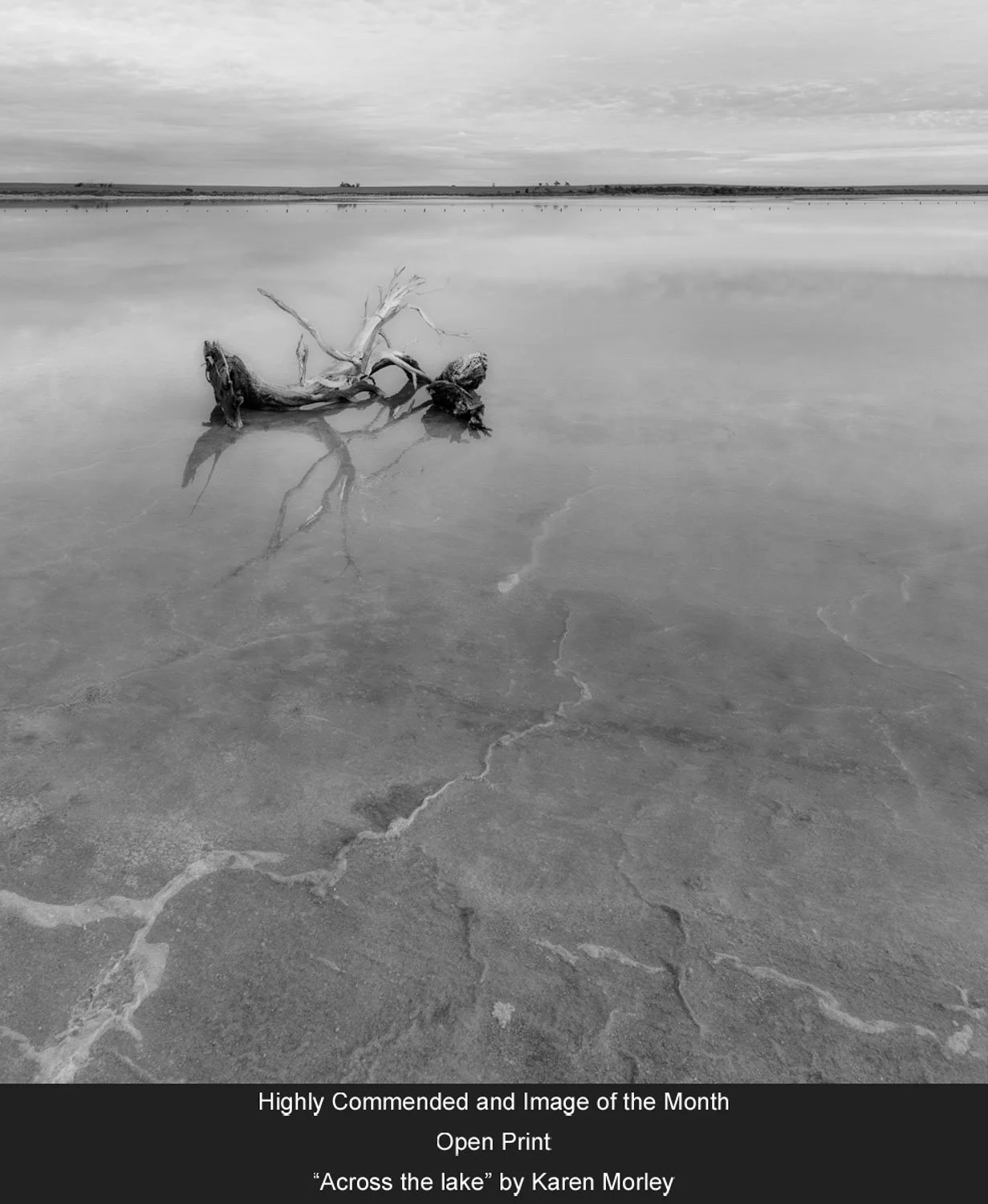Highly Commended and Image of the Month - Open Print - “Across the lake” by Karen Morley.jpg
