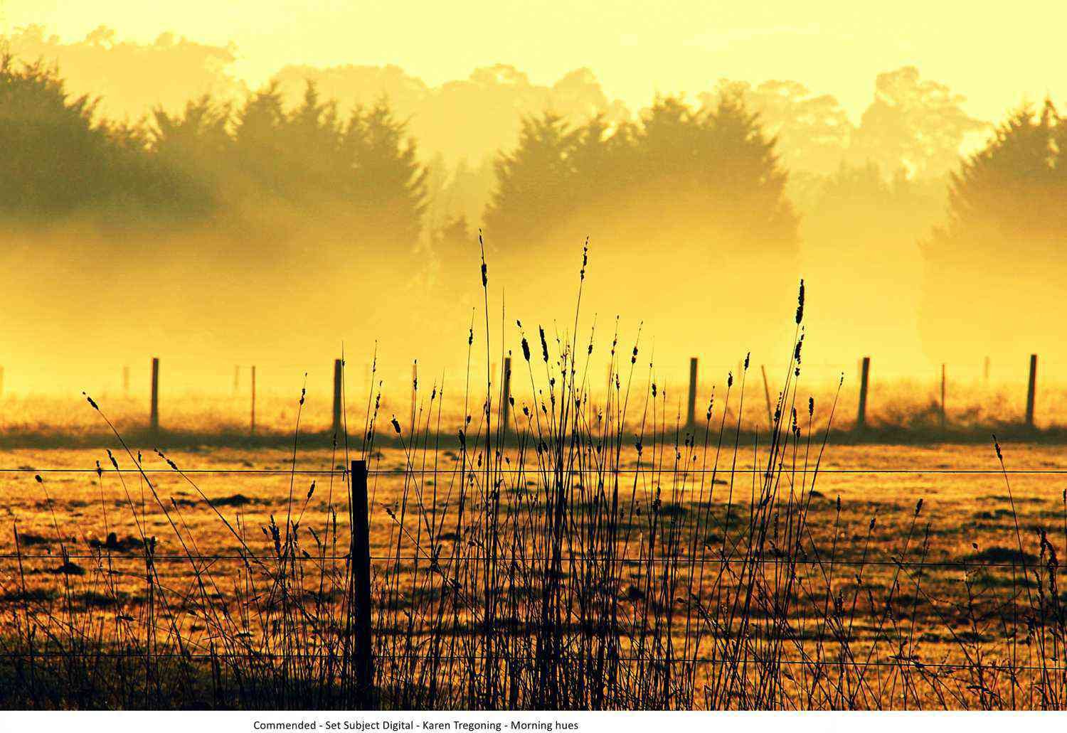 Commended - Set Subject Digital - Karen Tregoning - Morning hues.jpg