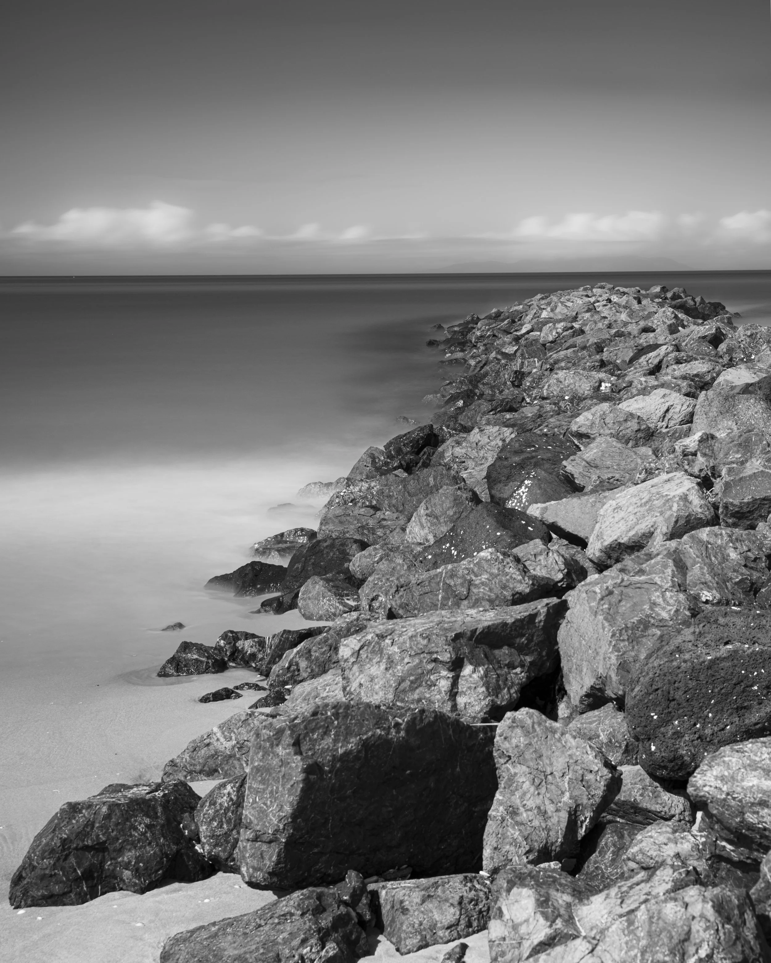 _NZ91411 copy.jpg