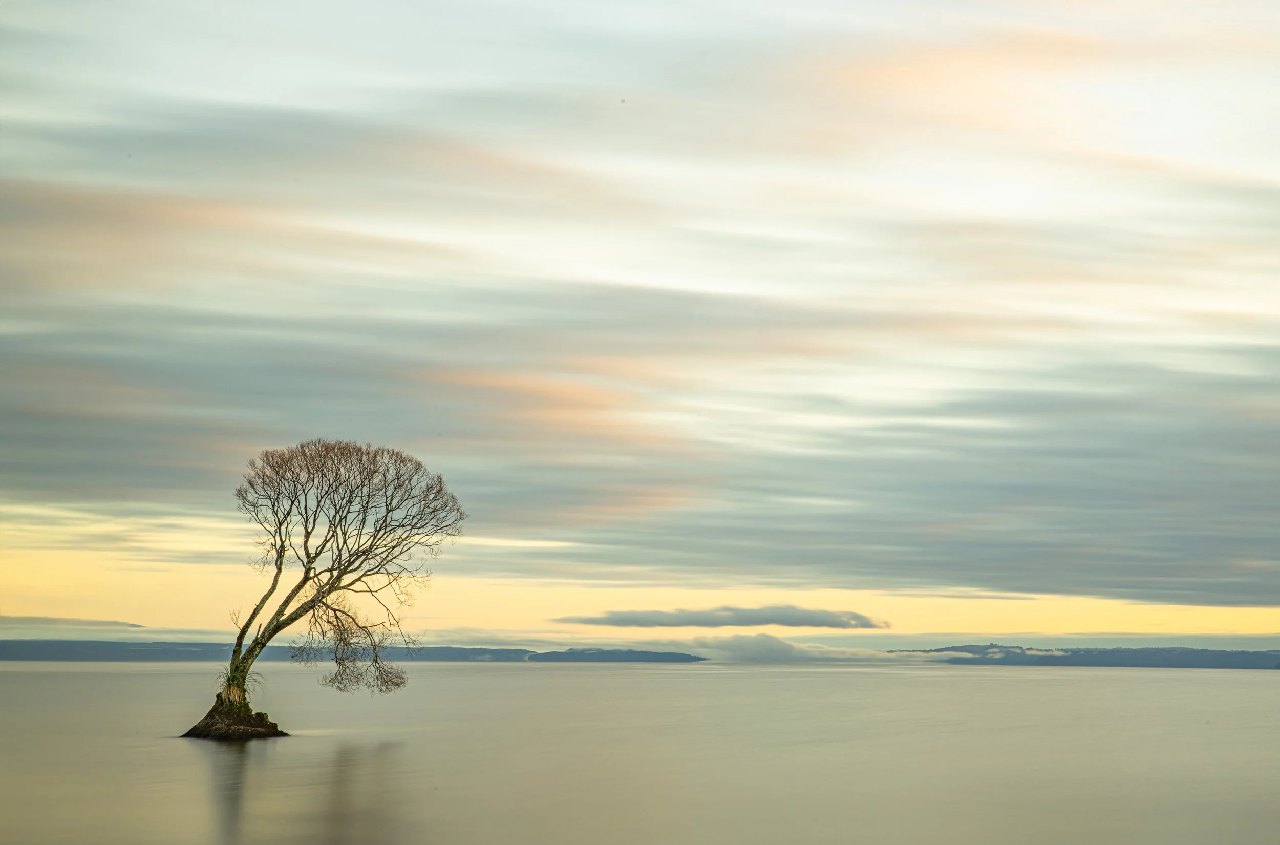 _NZ96455 copy 2 Extended.jpg