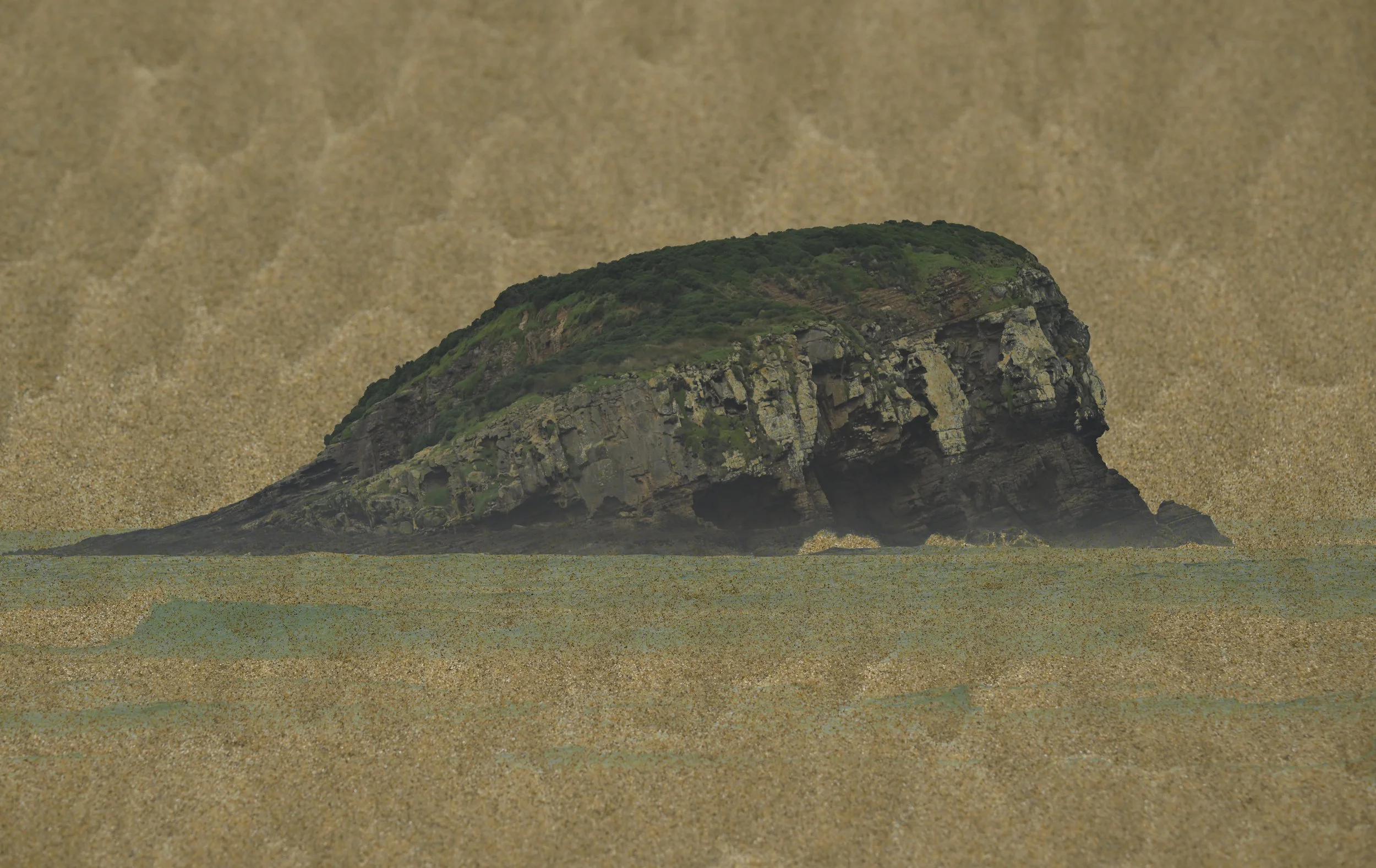 _NZ97695 copy.jpg