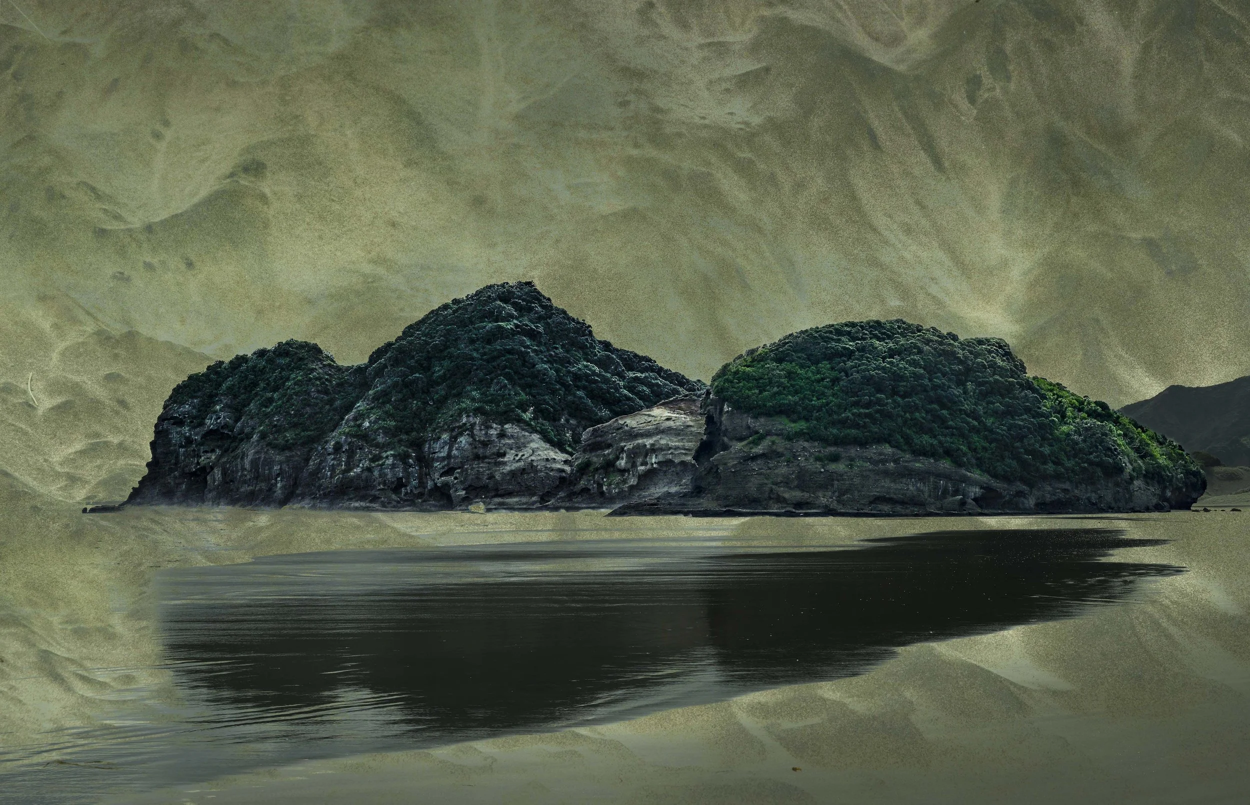 _NZ98515 copy 2.jpg