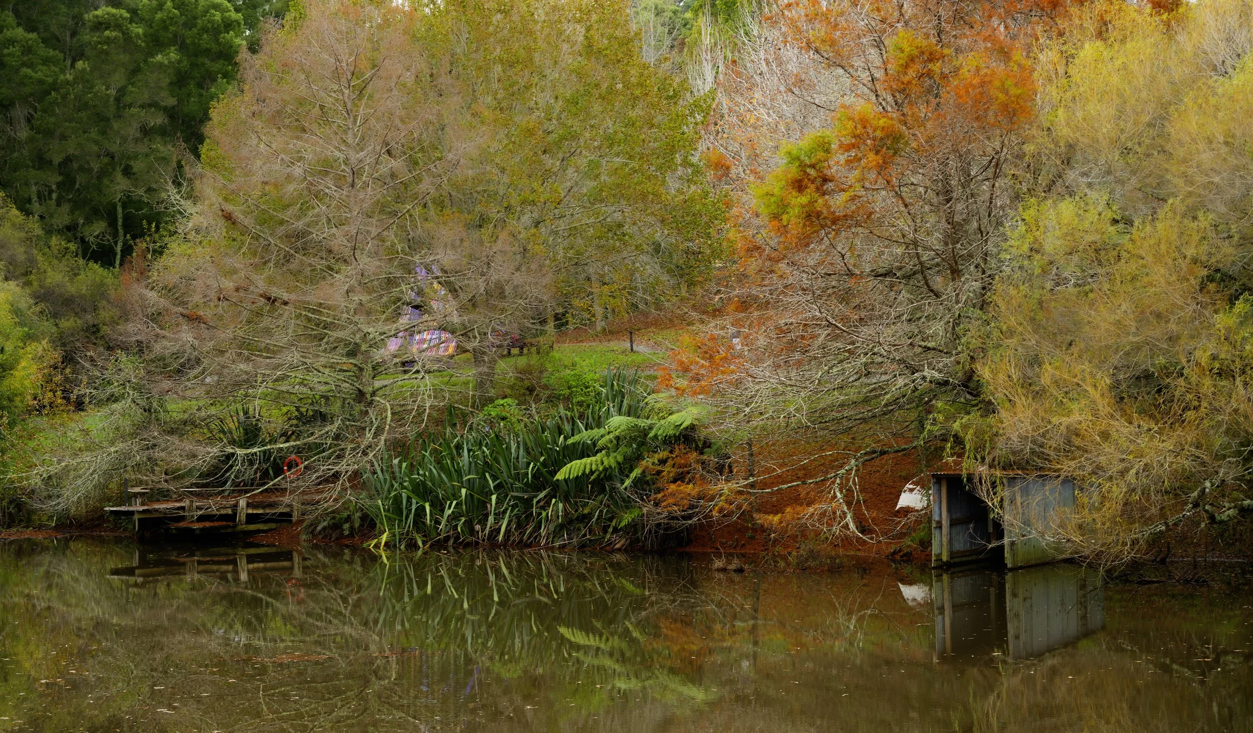 _NZ80075 copy.jpg