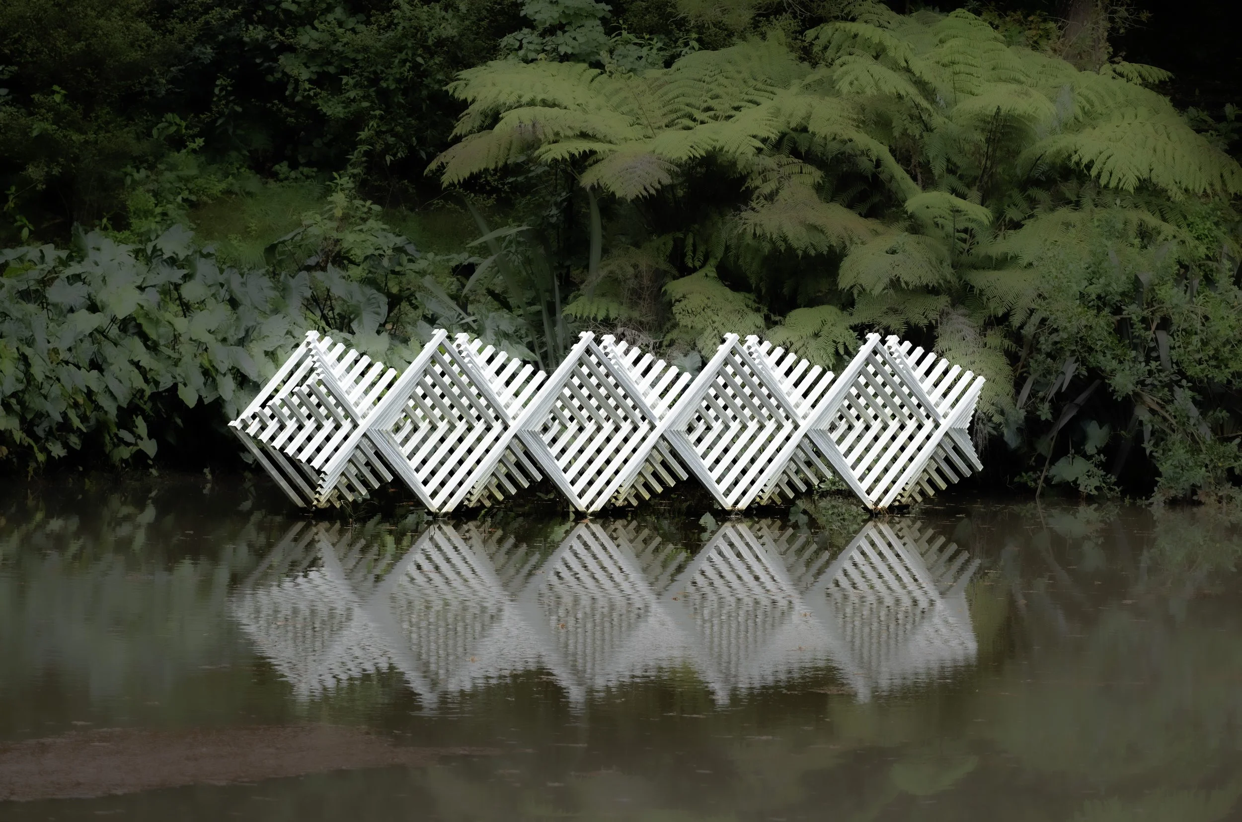 _NZ80084 copy.jpg