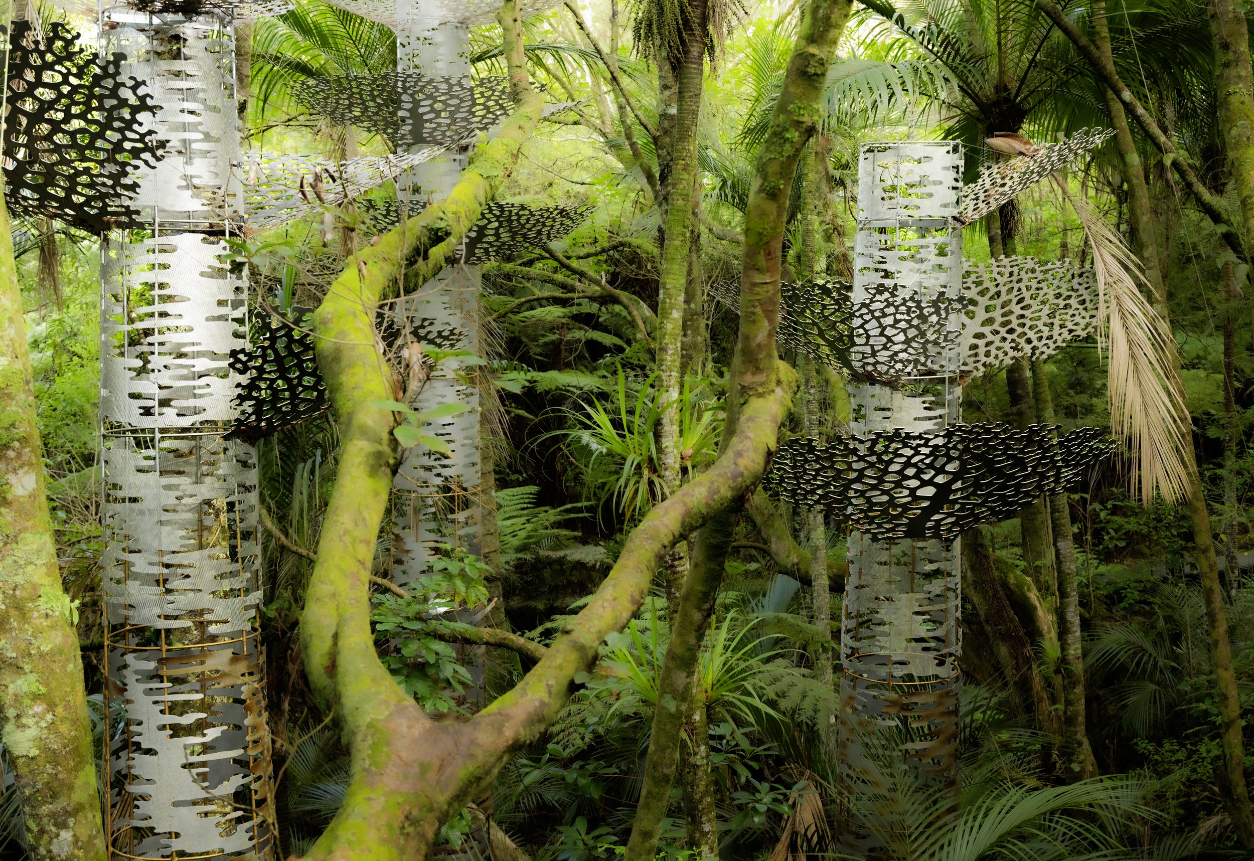 _NZ80118 copy.jpg