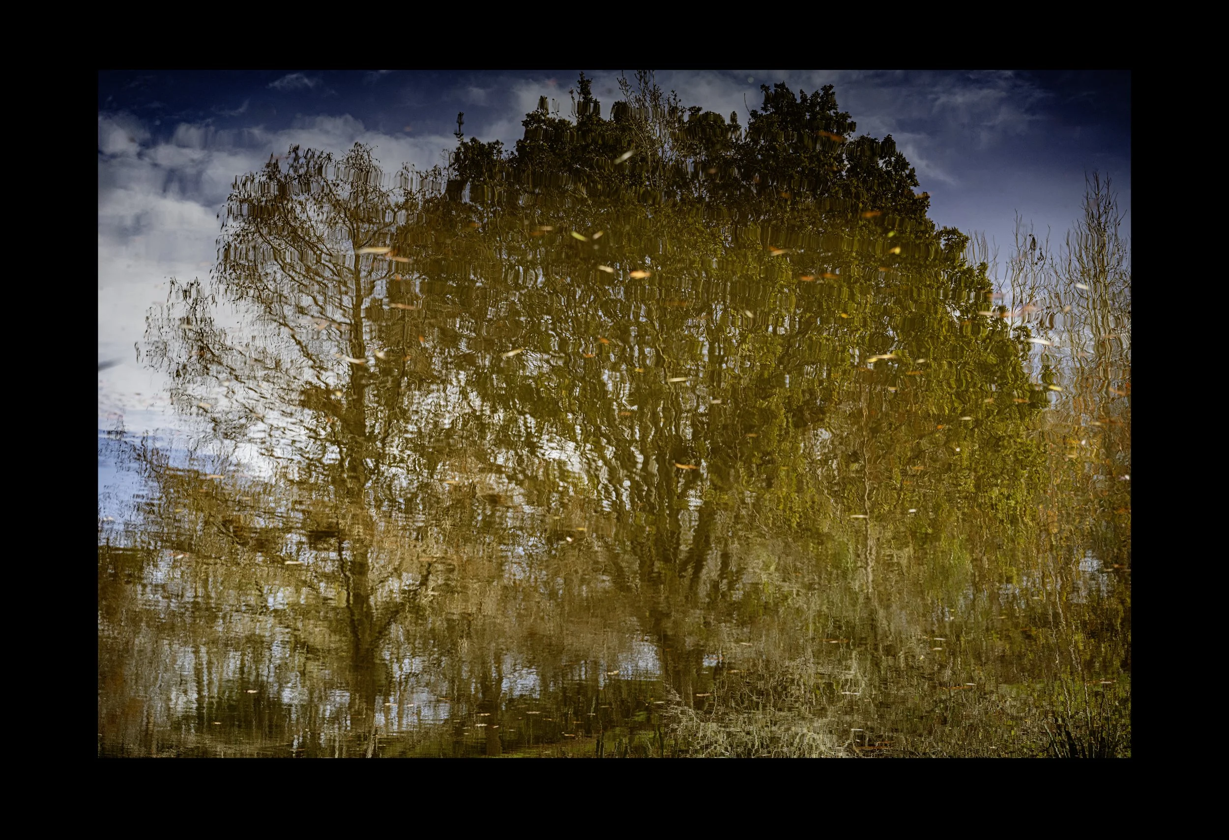_NZ80178 copy.jpg