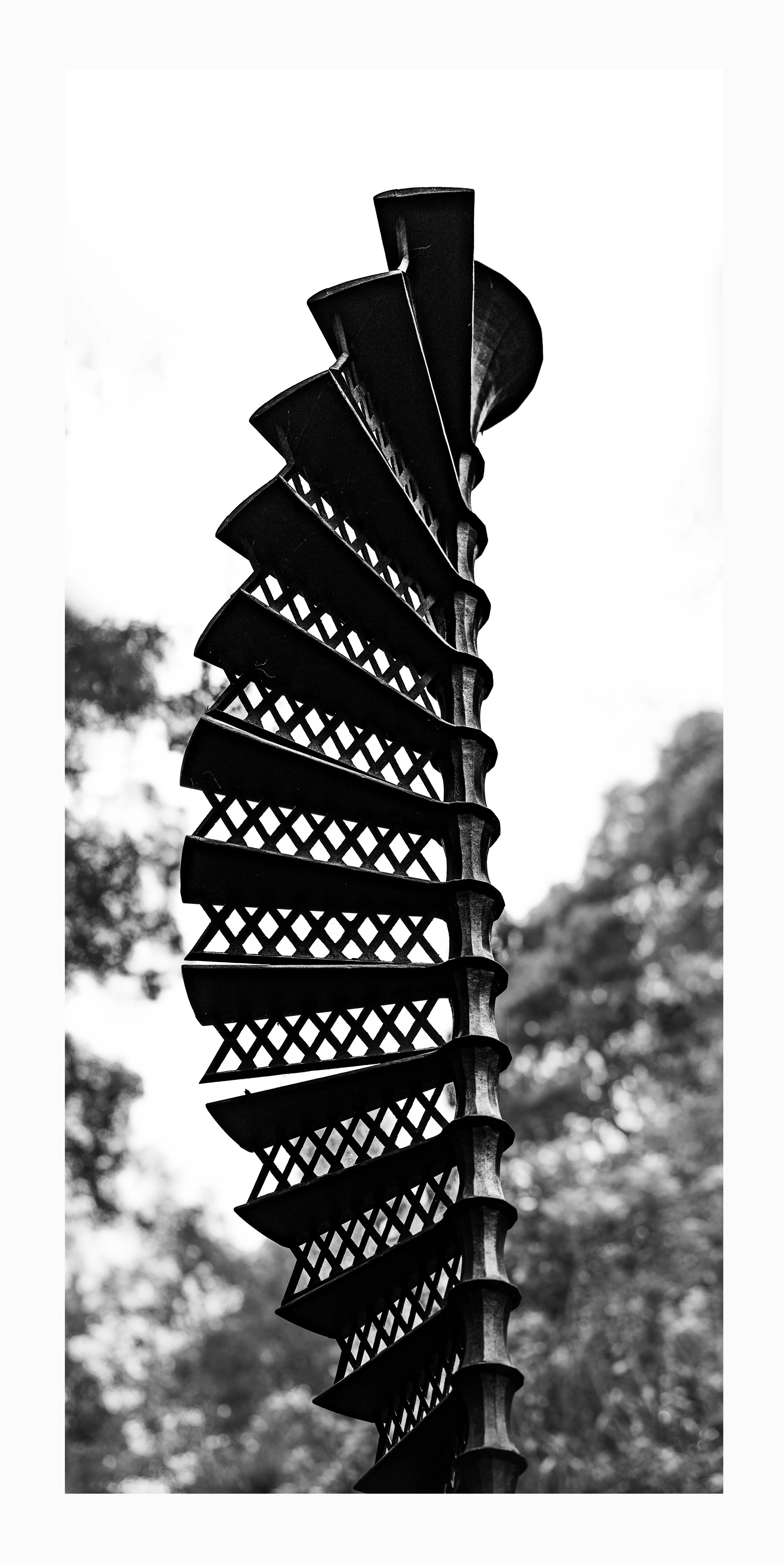 _NZ80092 copy.jpg