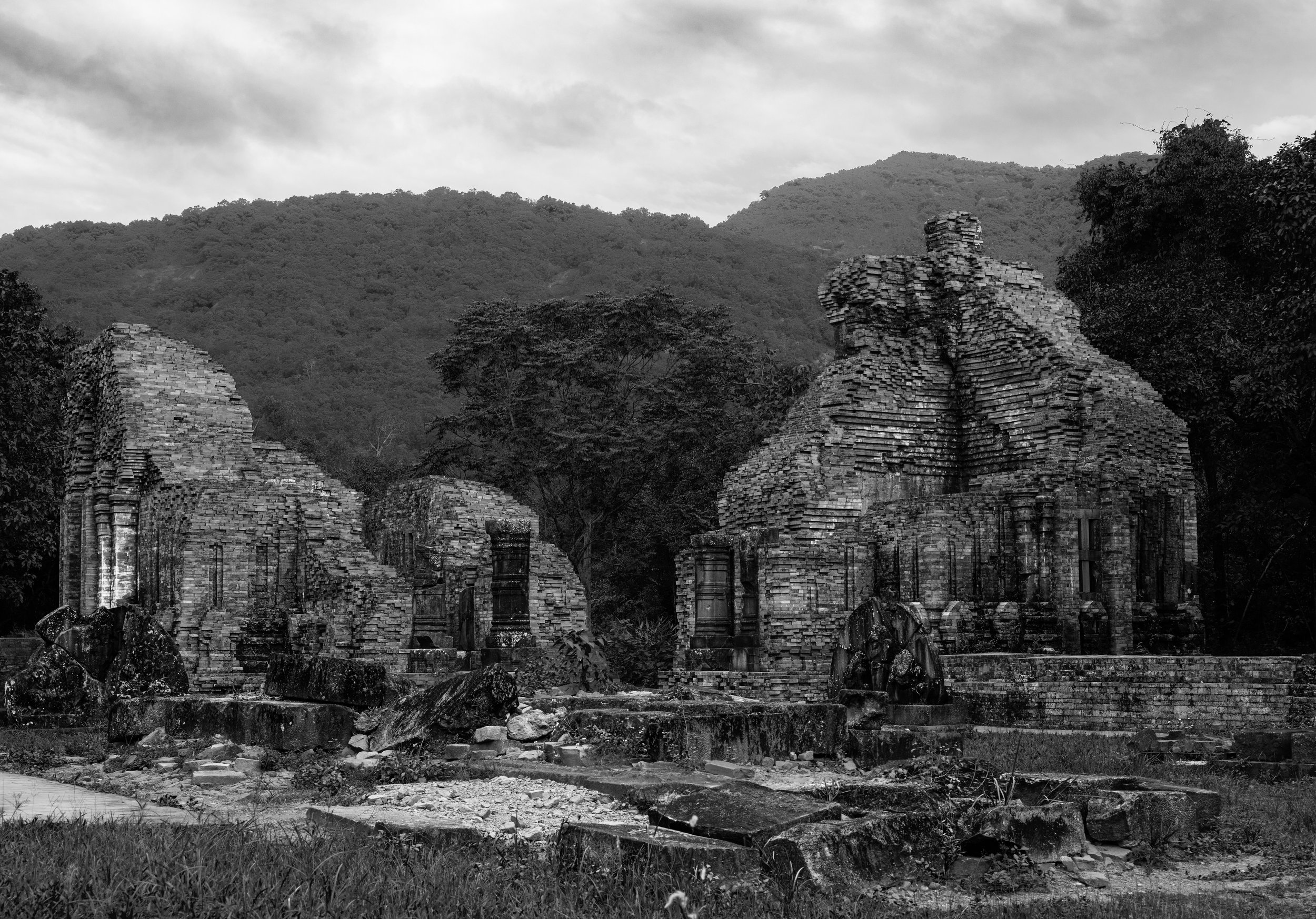 _NZ99850-2 copy bw.jpg
