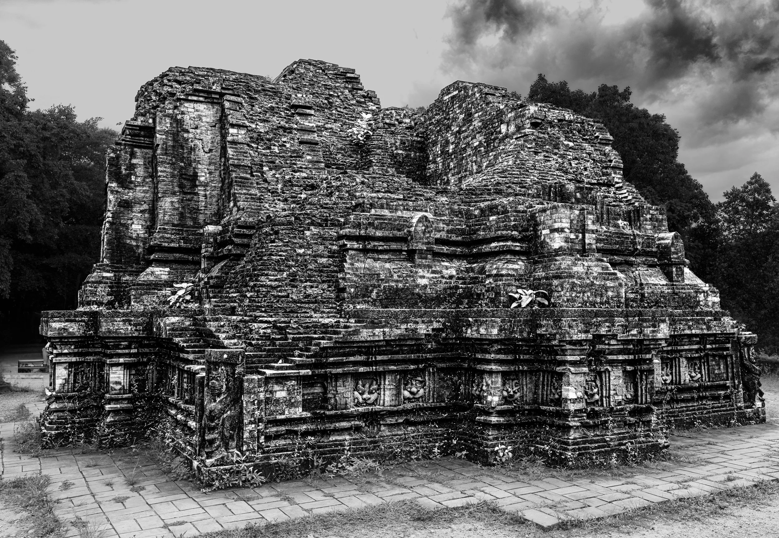 _NZ99824 copy BW.jpg