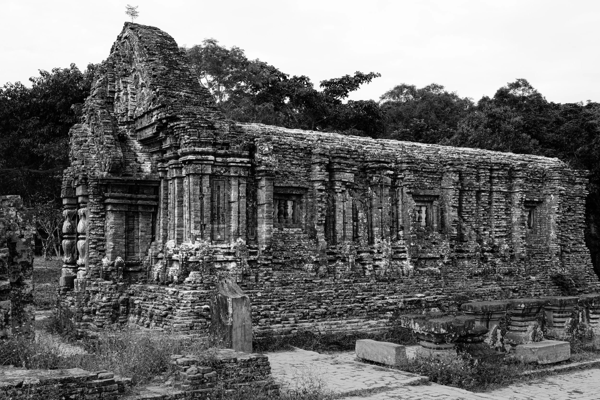 _NZ99884 copy BW.jpg