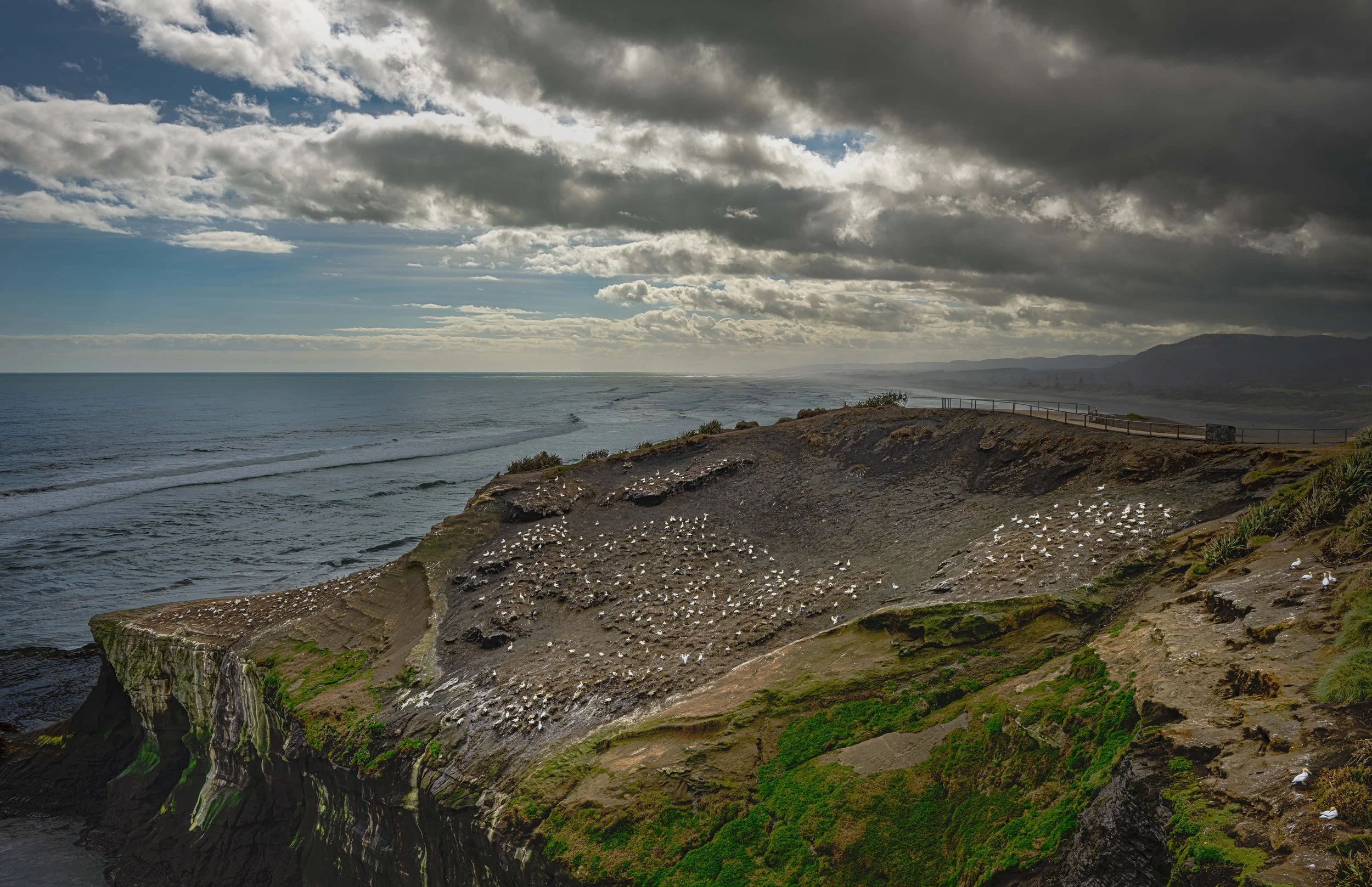 Untitled_HDR-4.jpg