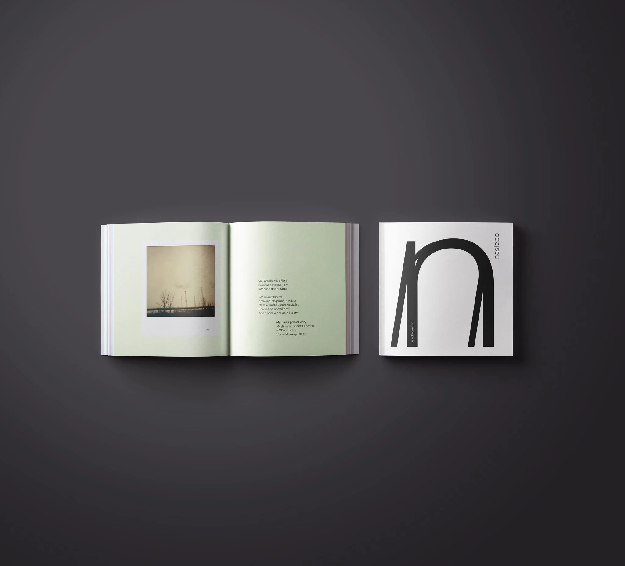 SOKOLOWSKO – Vernissage David Pomahac