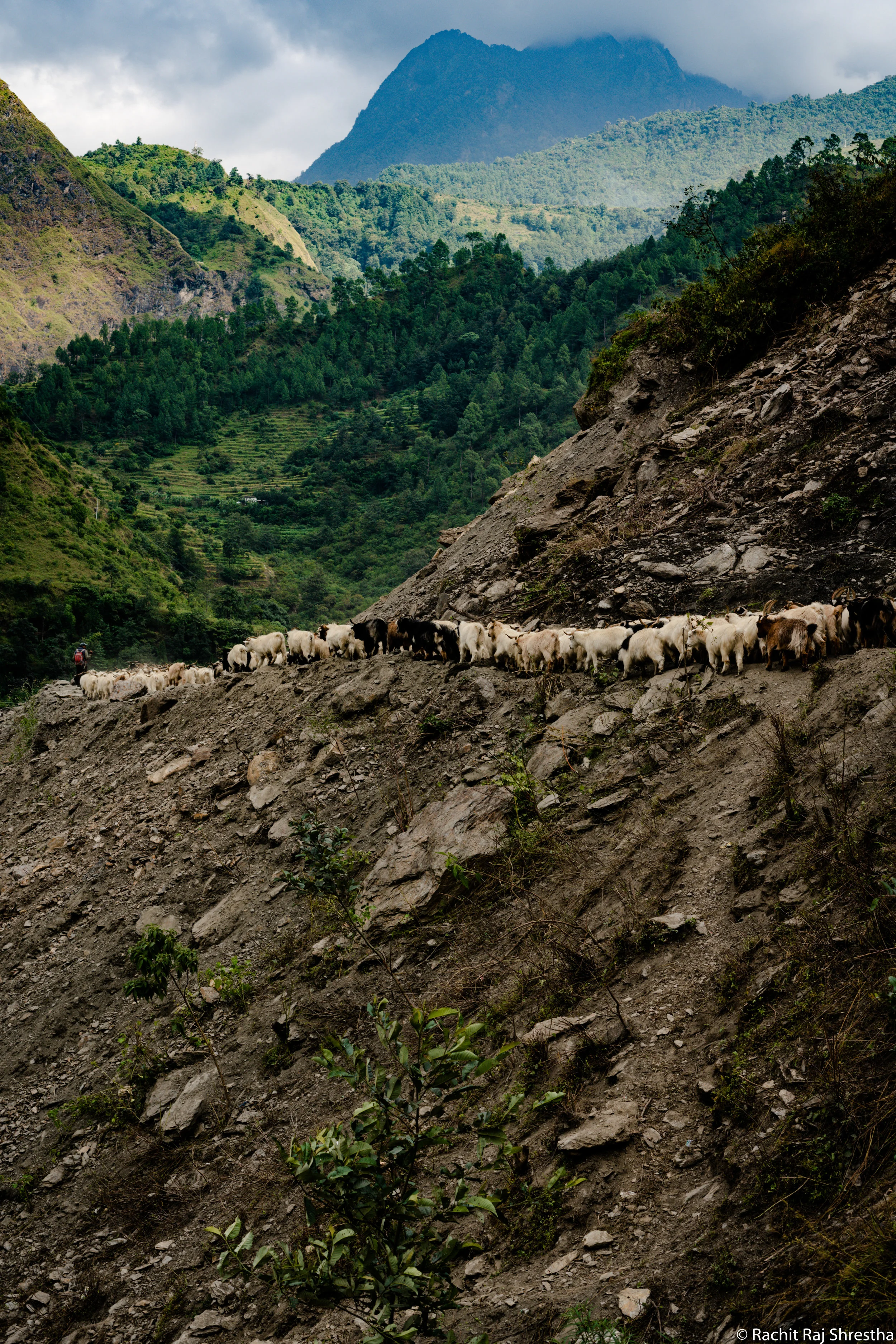 Nepal-14.jpg
