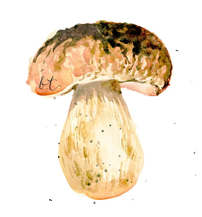 bellatowse_watercolour_mushrooms.jpg