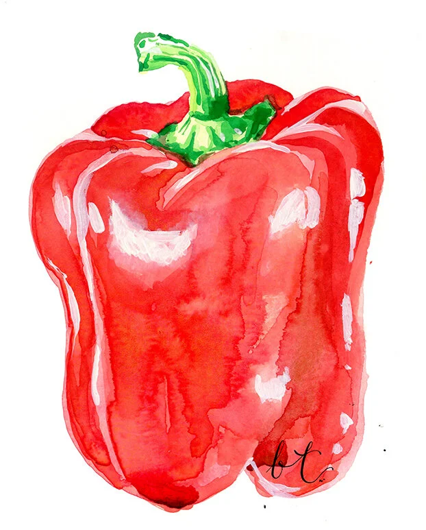 bellatowse_watercolour_pepper.jpg
