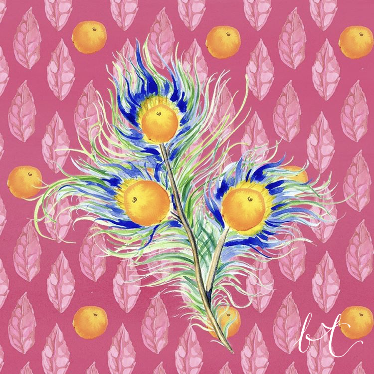 bellatowse_packaging_peacock_illustration.PNG