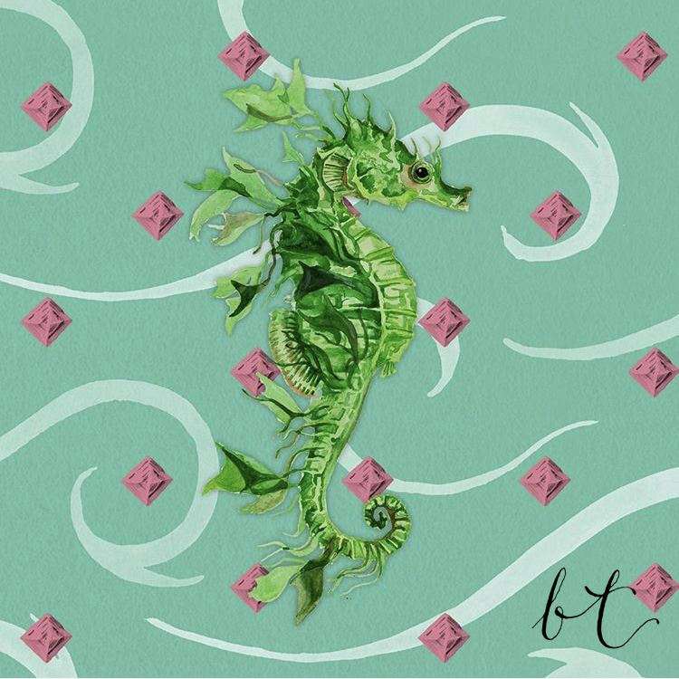 bellatowse_packaging_seahorse_illustration.PNG