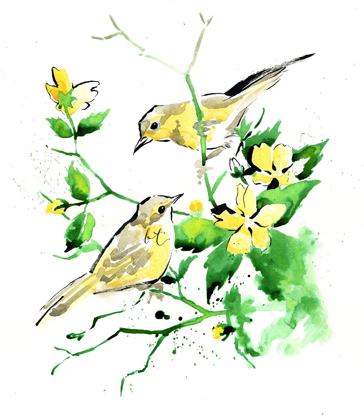 bellatowse_yellow_bird_illustration.jpg