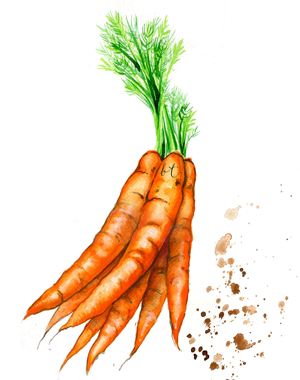 bellatowse_maldon_salt_carrot.jpg