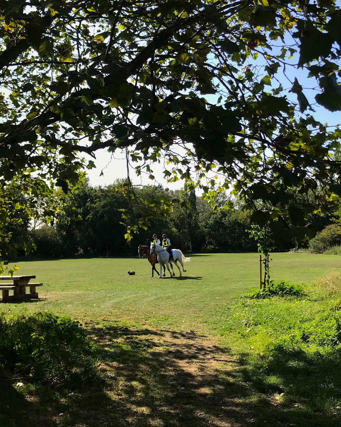 Morning exercise. London, U.K.