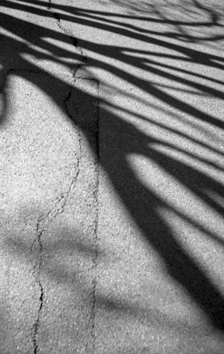 06-Shadows-of-Presence.jpg