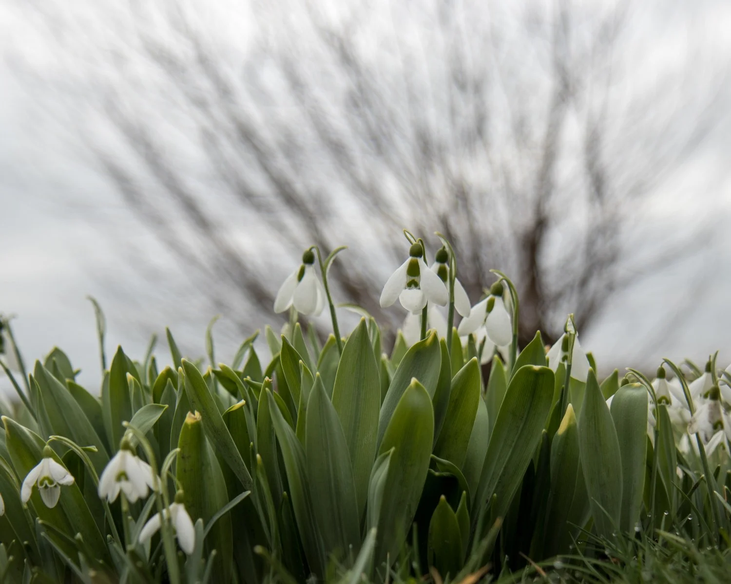 Gerard Valentijn_1685.jpg