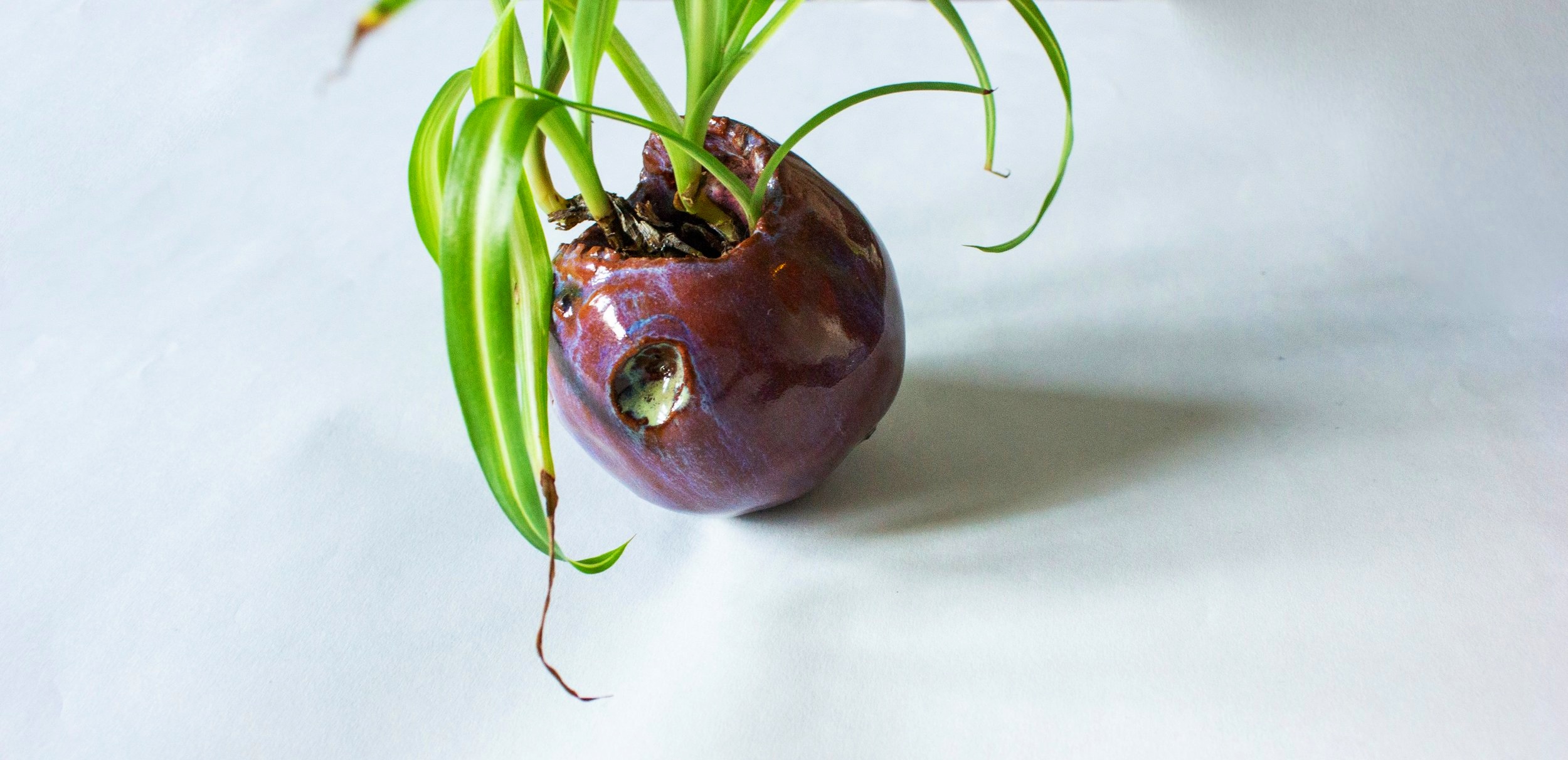 How Are you Feeling.jpg