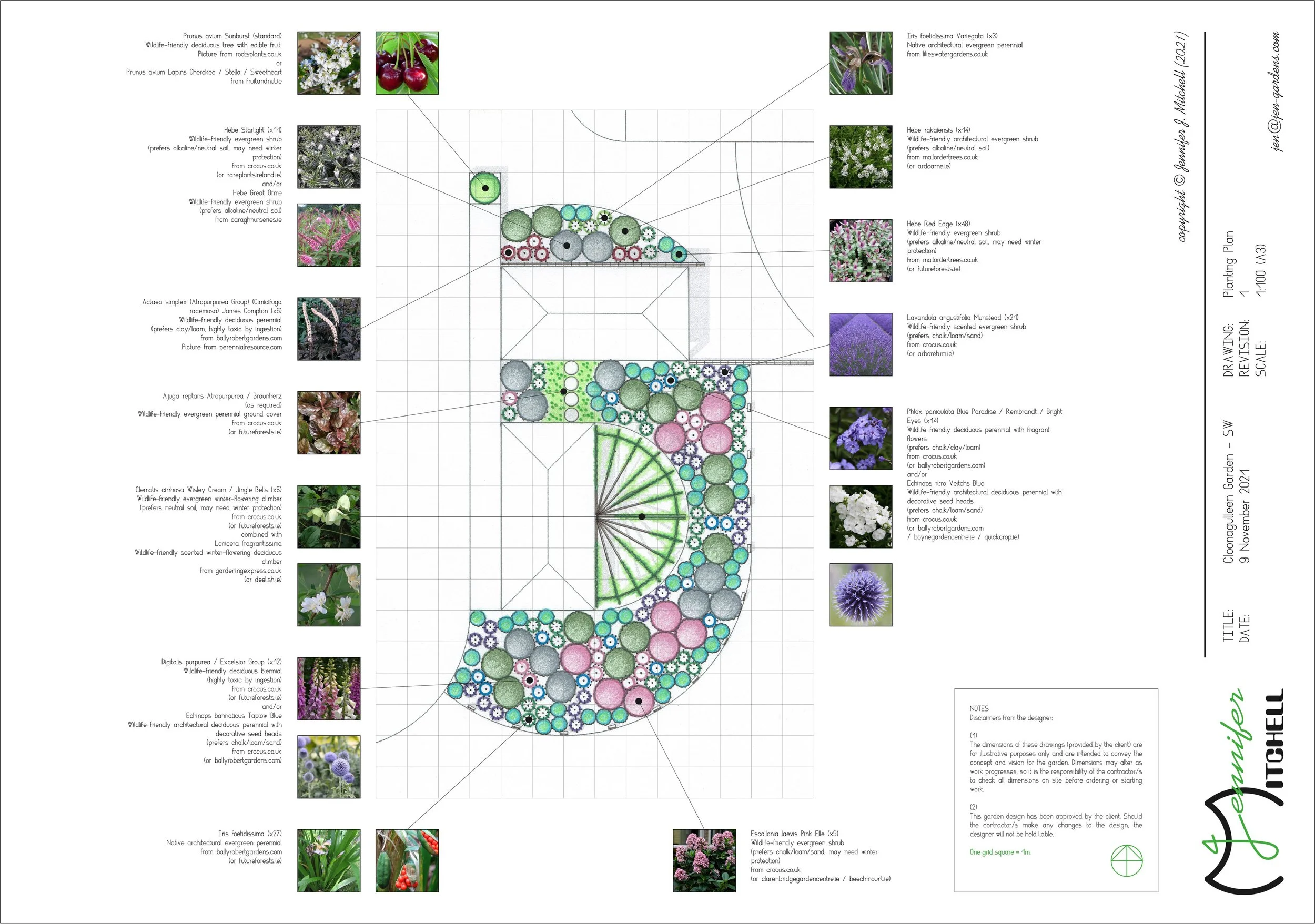 Cloonagulleen Garden (SW) - Planting Plan.jpg