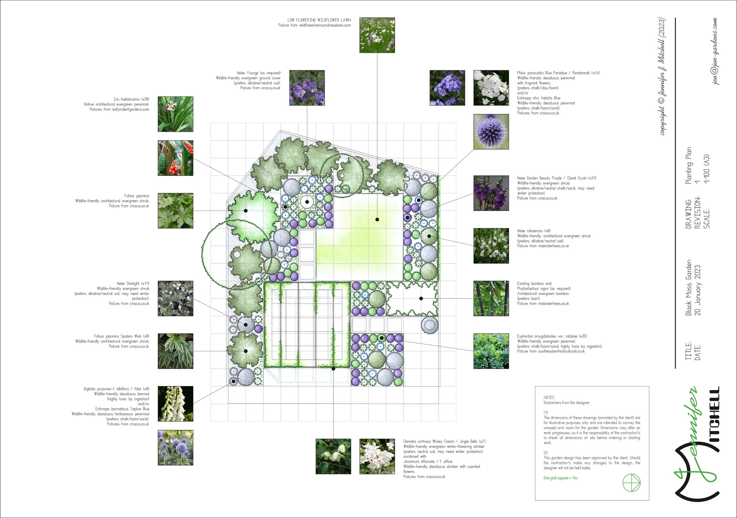 Plano de plantación real con especies y zonas