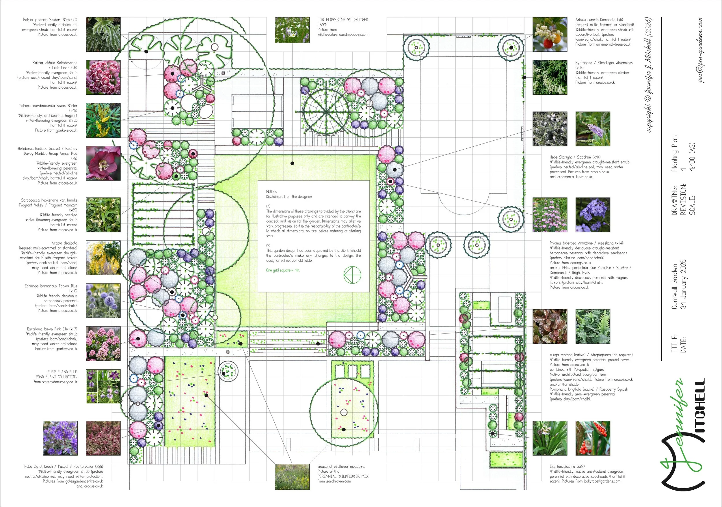 Cornwall Garden - Planting Plan.jpg