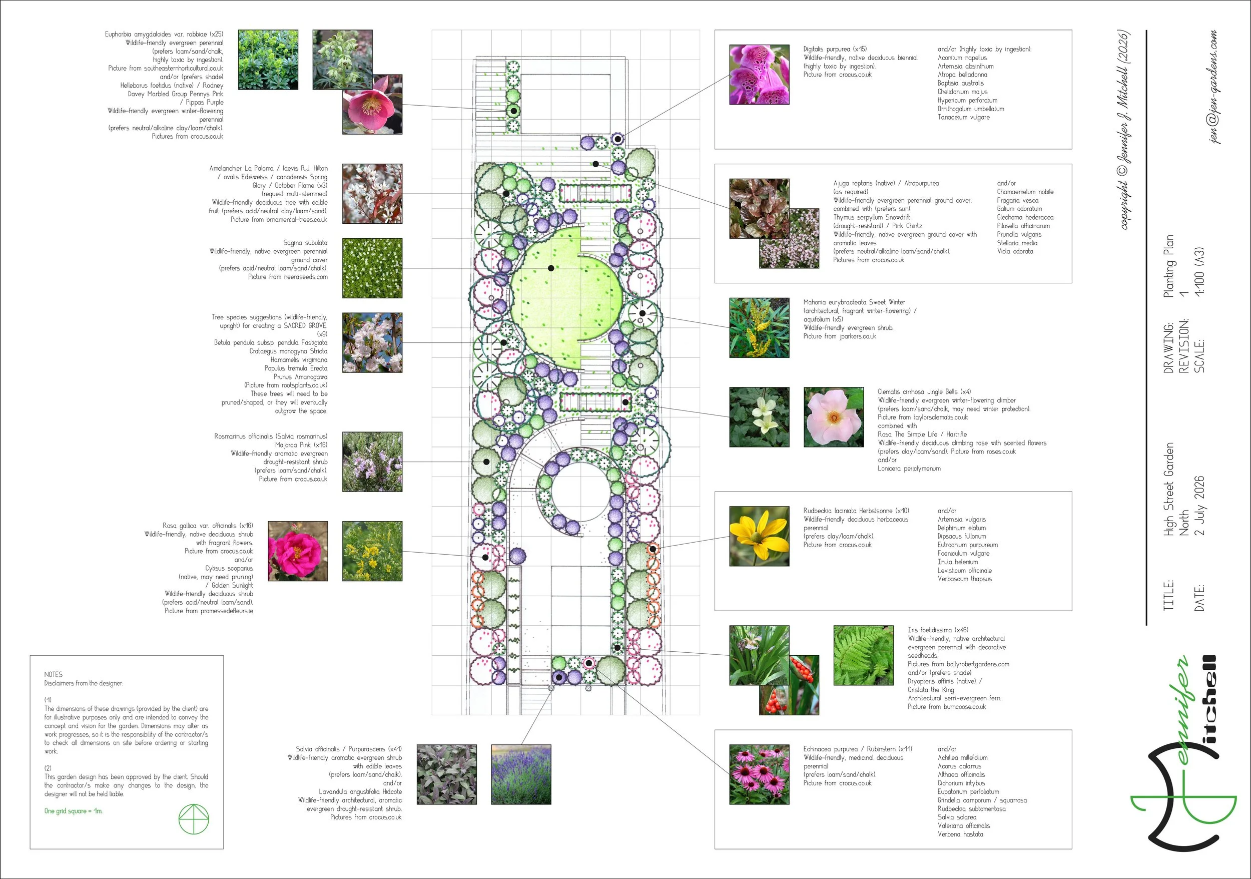 High Street Garden - Planting Plan (North).jpg