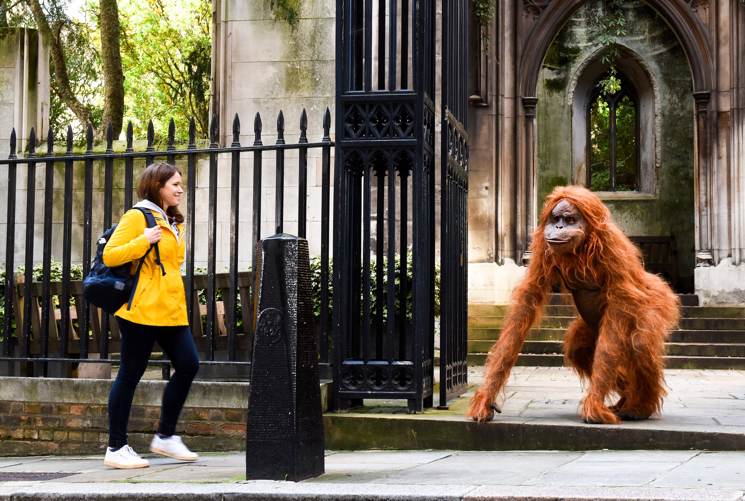 SN_LONDON_ORANGUTAN_03.jpg