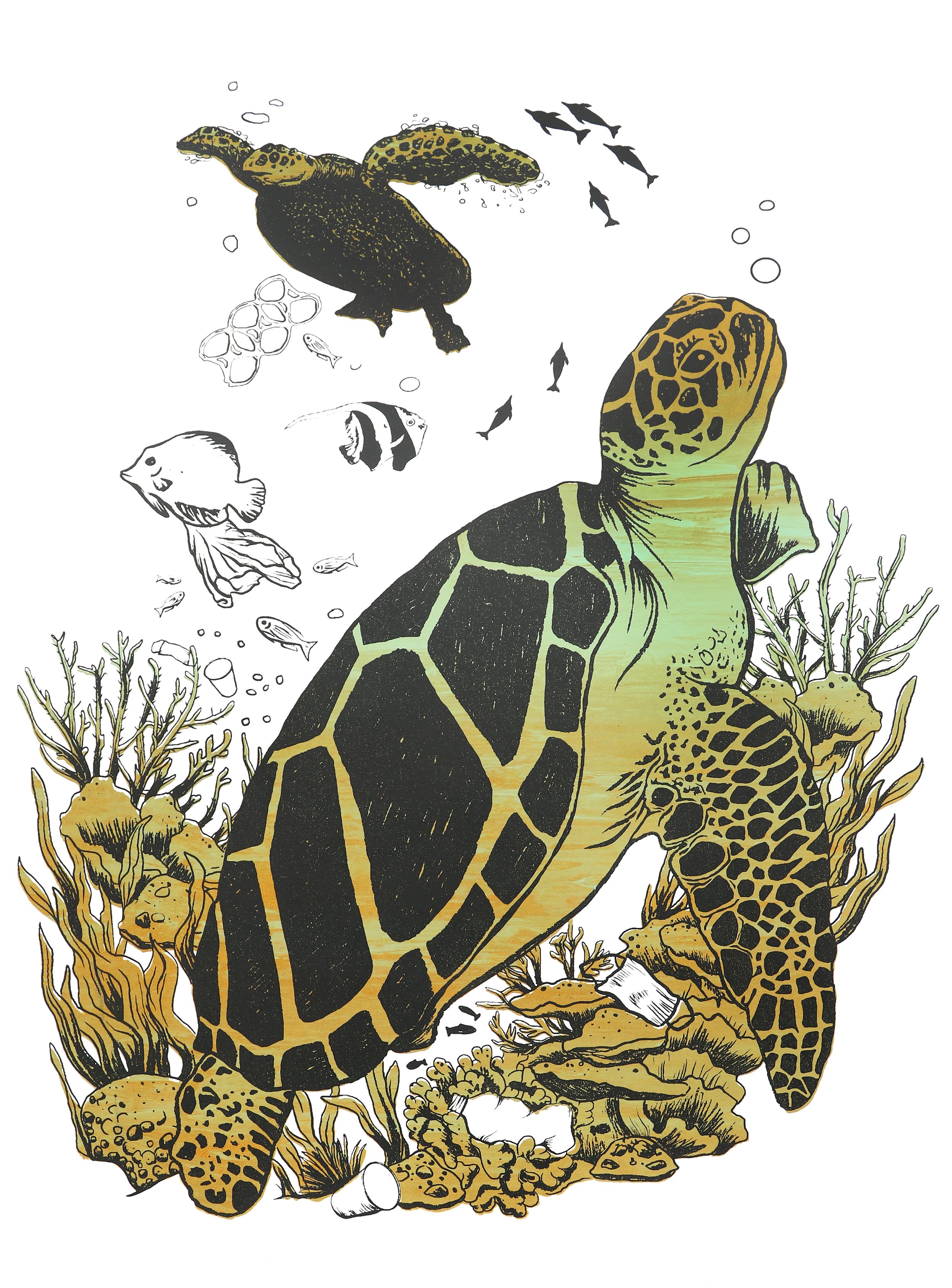 ScreenPrint-Turtles.jpg