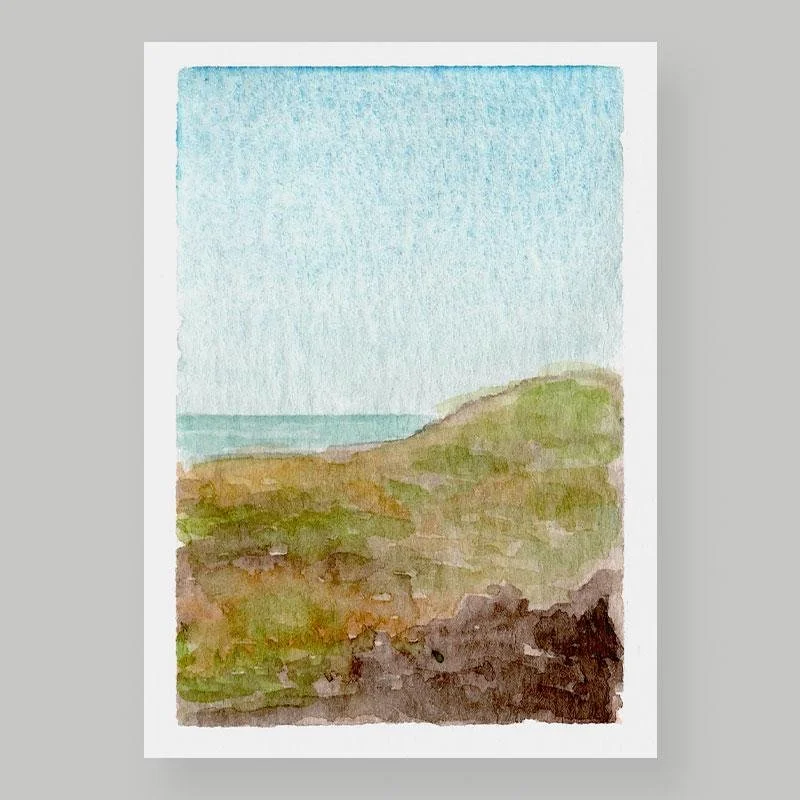 Coastal Meadow02.jpg