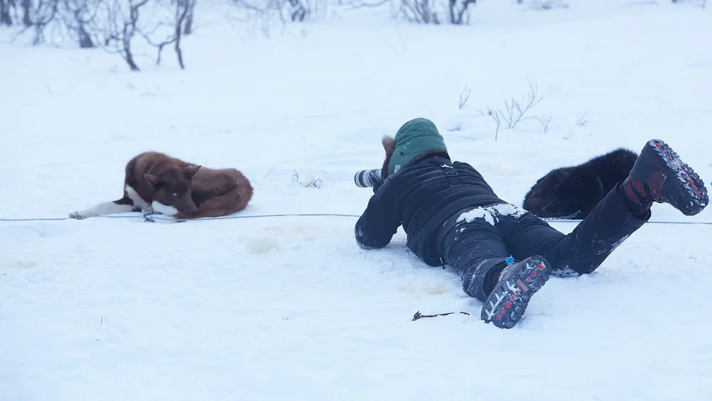 Norway-84_Jan 26 2015_©PapeProwse 1.jpg