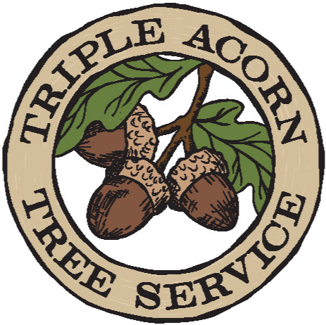 Triple Acorn Tree Service
