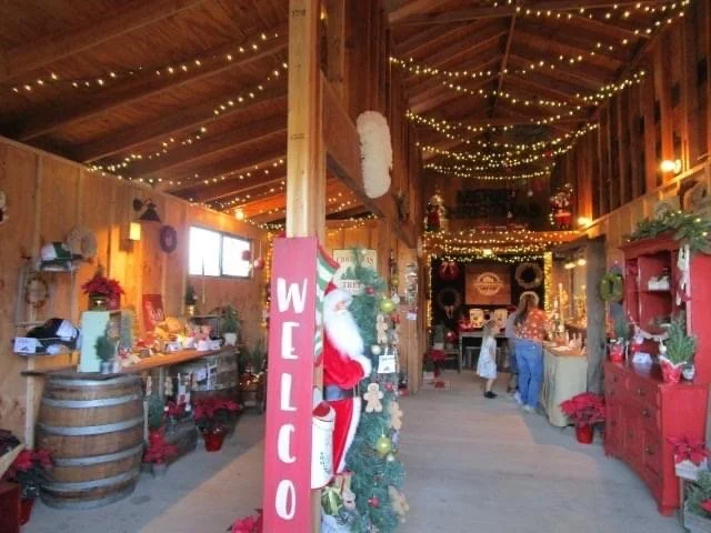 What We Do — December Ranch Christmas Trees