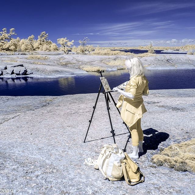 Painting in another world ! American Camp Island..thanks to the eyes and the infrared lens of Stephen Morley ! #georgianbaylandtrust #gblandtrust #georgianbaypaintings #collingwoodartist #tremontstudios