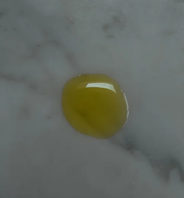Conservatory 2.png