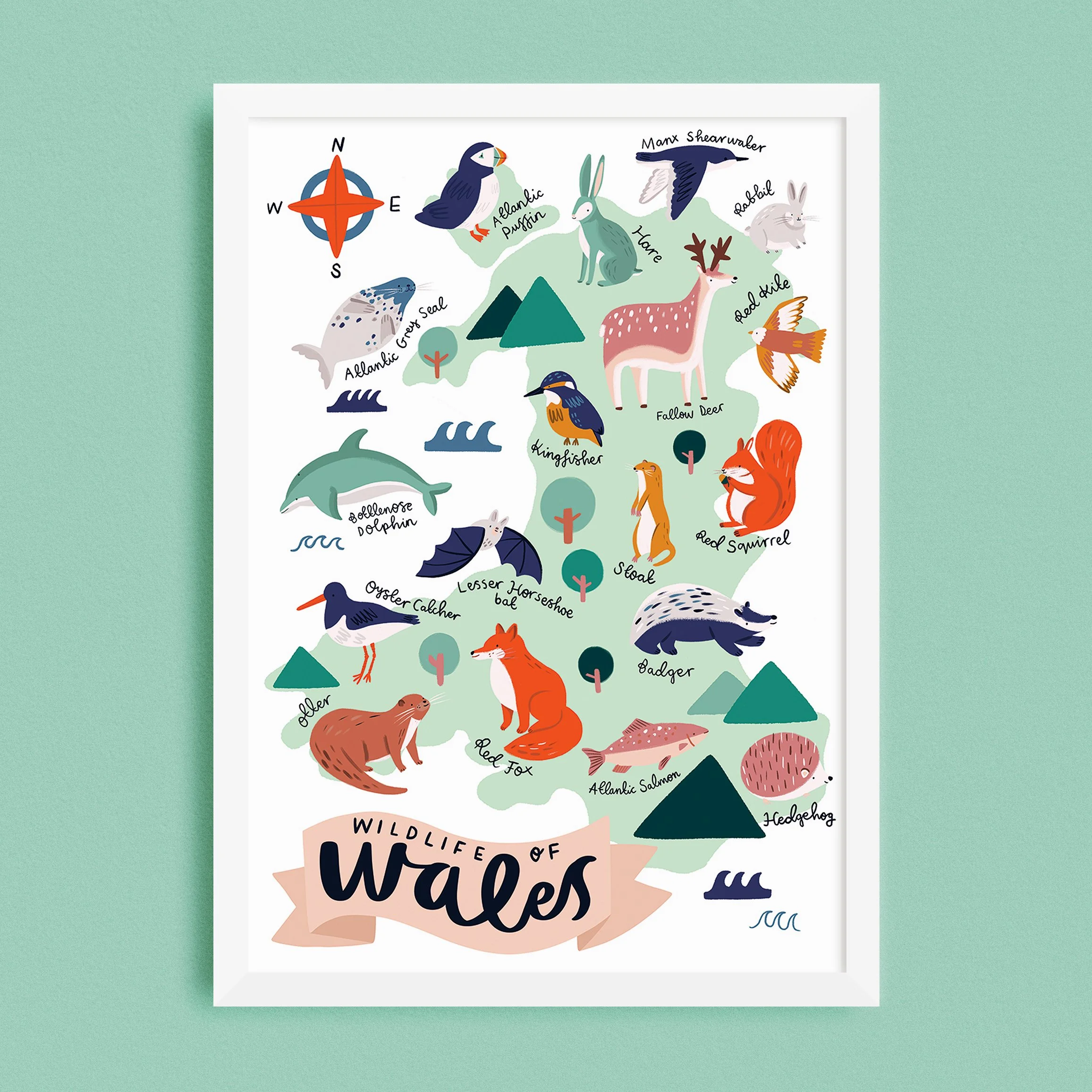 wildlife of wales framed square mock up for web.jpg