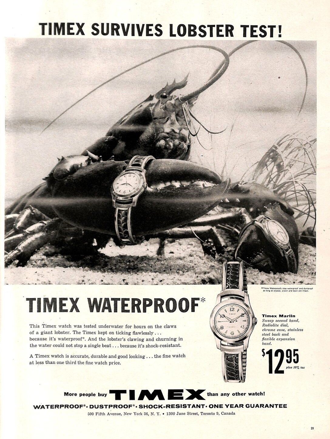 THE TIMEX TORTURE TESTS OF THE 1950s - Montres Publiques - The vintage  watch magazine