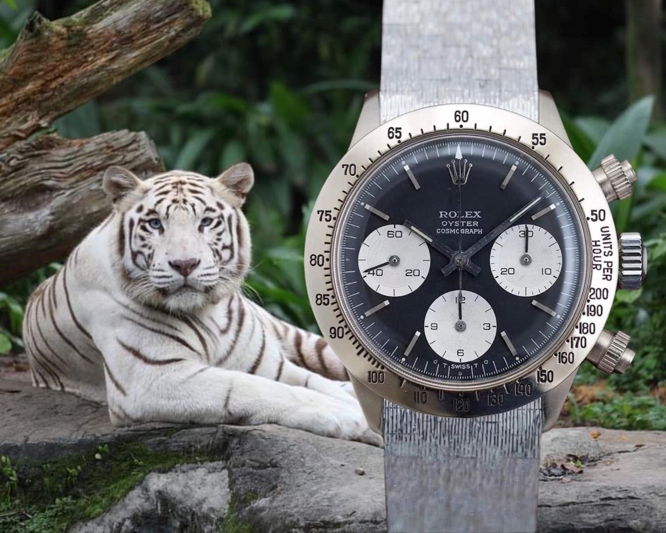 AUCTION REPORT: THE ROLEX DAYTONA WHITE GOLD 'UNICORN' REF. 6265 - Montres Publiques - The vintage watch