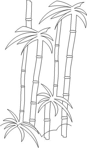 bamboo pano.jpg