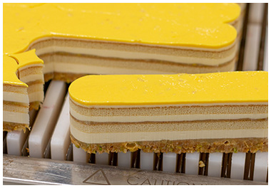 Watercut RX sample.png